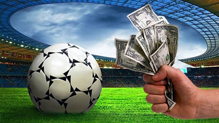 Descubra o Mundo do Apostador com BullsBet Descubra o Mundo do Apostador com BullsBet