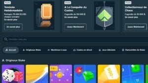 Un aperçu de stake casino en france