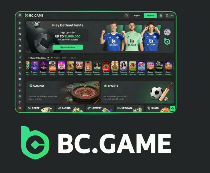 Understanding the BC.Game Mirror Login Process -280957182 Understanding the BC.Game Mirror Login Process -280957182